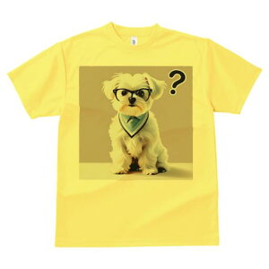 T�V���c �����Y �L�b�Y ���t�@�� ���� �t�� ���� �v�����g �J�W���A�� ���킢�� �l�ԗp �t�B�b�g�l�X �_���X �ዾ �}���`�[�Y �X�J�[�t ����}�[�N