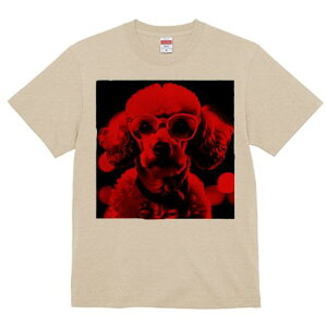 TVc Y LbY t@  t  vg JWA 킢 lԗp tBbglX _X  v[h Kl