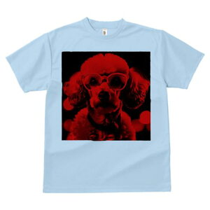 TVc Y LbY t@  t  vg JWA 킢 lԗp tBbglX _X  v[h Kl