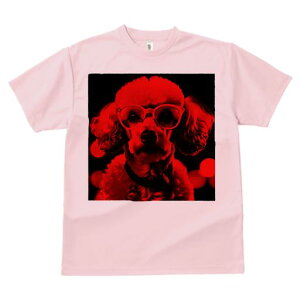 TVc Y LbY t@  t  vg JWA 킢 lԗp tBbglX _X  v[h Kl