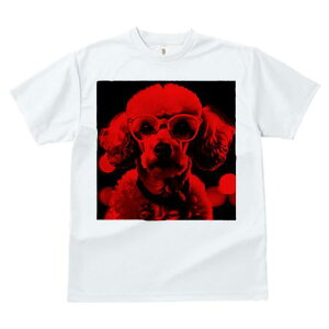 TVc Y LbY t@  t  vg JWA 킢 lԗp tBbglX _X  v[h Kl