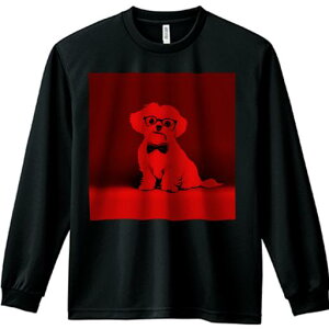 TVc lԗp Y Ht vg W[ AEghA JWA 킢 t@ Kl }`[Y lN^C 