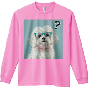 TVc lԗp Y Ht vg W[ AEghA JWA 킢 t@ Kl }`[Y lN^C NGX`}[N