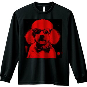 TVc lԗp Y Ht vg W[ AEghA JWA 킢 t@ Kl v[h lN^C  