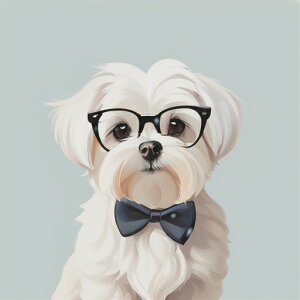 Kl }`[Y lN^C NbVJo[ 45×45cm Aj}   NbV{̕t ` t@