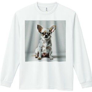 TVc lԗp Y Ht vg W[ AEghA JWA 킢 t@ Kl ` wi