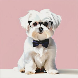 ዾ }`[Y lN^C sN̔wi NbVJo[ 45×45cm Aj}   NbV{̕t ` t@