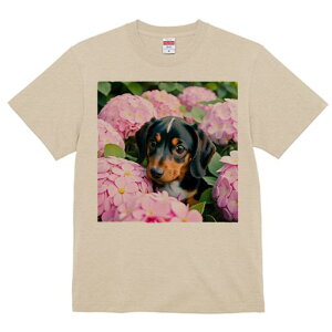 TVc Y LbY t@  t  vg JWA 킢 lԗp tBbglX _X sN̉ _bNXtg AWTC A R