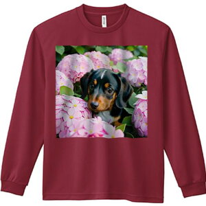 TVc lԗp Y Ht vg W[ AEghA JWA 킢 t@ sN̉ _bNXtg AWTC A R