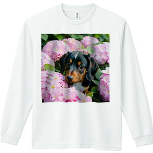 TVc lԗp Y Ht vg W[ AEghA JWA 킢 t@ sN̉ _bNXtg AWTC A R