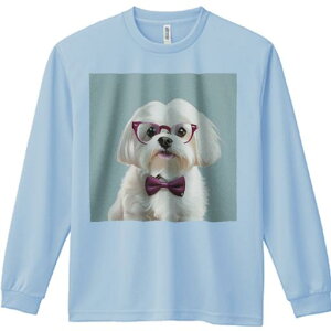 TVc lԗp Y Ht vg W[ AEghA JWA 킢 t@ Kl }`[Y lN^C