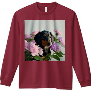 TVc lԗp Y Ht vg W[ AEghA JWA 킢 t@  _bNXth o AWTC R