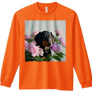 TVc lԗp Y Ht vg W[ AEghA JWA 킢 t@  _bNXth o AWTC R