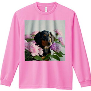 TVc lԗp Y Ht vg W[ AEghA JWA 킢 t@  _bNXth o AWTC R