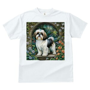 TVc Y LbY t@  t  vg JWA 킢 lԗp tBbglX _X  V[Y[ A[` 