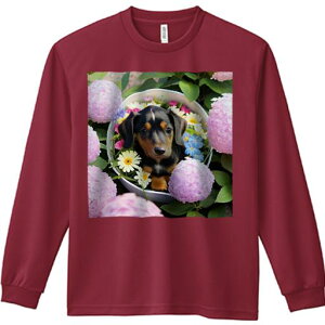 TVc lԗp Y Ht vg W[ AEghA JWA 킢 t@ sN̉ _bNXth oXPbg O[[t K[x AWTC