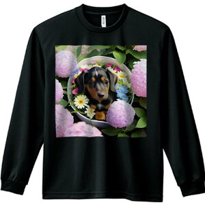 TVc lԗp Y Ht vg W[ AEghA JWA 킢 t@ sN̉ _bNXth oXPbg O[[t K[x AWTC