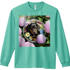 TVc lԗp Y Ht vg W[ AEghA JWA 킢 t@ sN̉ _bNXth oXPbg O[[t K[x AWTC