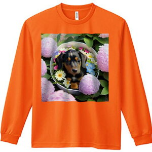 TVc lԗp Y Ht vg W[ AEghA JWA 킢 t@ sN̉ _bNXth oXPbg O[[t K[x AWTC