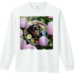 TVc lԗp Y Ht vg W[ AEghA JWA 킢 t@ sN̉ _bNXth oXPbg O[[t K[x AWTC