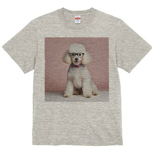 TVc Y LbY t@  t  vg JWA 킢 lԗp tBbglX _X Kl v[h sNF̃J[