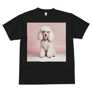 TVc Y LbY t@  t  vg JWA 킢 lԗp tBbglX _X ԂKl sN̔wi