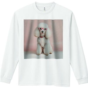 TVc lԗp Y Ht vg W[ AEghA JWA 킢 t@ ԂKl sN̔wi