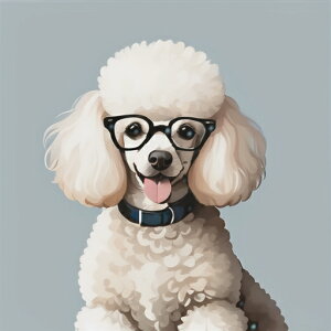 ዾ v[h  킢 ybg NbVJo[ 45×45cm Aj}   NbV{̕t ` t@