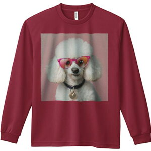 TVc lԗp Y Ht vg W[ AEghA JWA 킢 t@ Kl v[h sN 