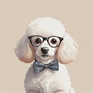 ዾ v[h lN^C  ӂӂ NbVJo[ 45×45cm Aj}  NbV{̕t ` t@