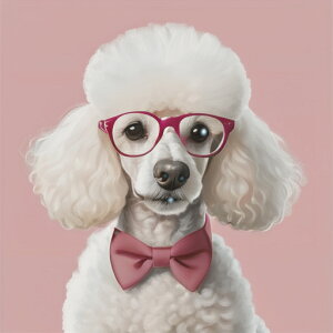 Kl v[h lN^C sNwi NbVJo[ 45×45cm Aj}   NbV{̕t ` t@