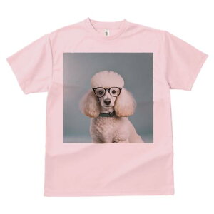 TVc Y LbY t@  t  vg JWA 킢 lԗp tBbglX _X Kl v[h wi