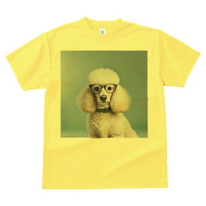 TVc Y LbY t@  t  vg JWA 킢 lԗp tBbglX _X Kl v[h wi