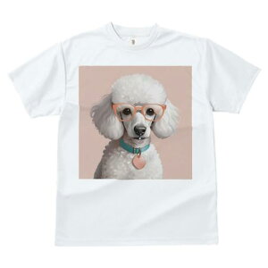 TVc Y LbY t@  t  vg JWA 킢 lԗp tBbglX _X Kl v[h  n[g̃y_g