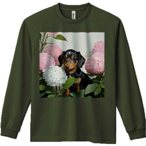 TVc lԗp Y Ht vg W[ AEghA JWA 킢 t@  _bNXtg sÑAWTC AWTC t