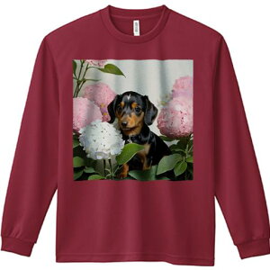 TVc lԗp Y Ht vg W[ AEghA JWA 킢 t@  _bNXtg sÑAWTC AWTC t