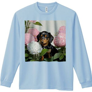 TVc lԗp Y Ht vg W[ AEghA JWA 킢 t@  _bNXtg sÑAWTC AWTC t