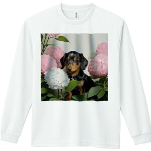 TVc lԗp Y Ht vg W[ AEghA JWA 킢 t@  _bNXtg sÑAWTC AWTC t