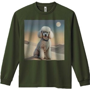 TVc lԗp Y Ht vg W[ AEghA JWA 킢 t@  v[h Kl 