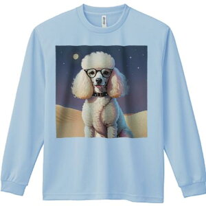 TVc lԗp Y Ht vg W[ AEghA JWA 킢 t@ Kl v[h    