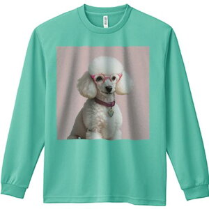 TVc lԗp Y Ht vg W[ AEghA JWA 킢 t@ Kl v[h sN̔wi n[g̃y_g