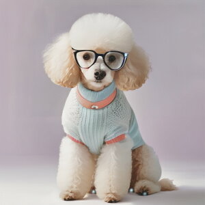 Kl v[h Z[^[ NbVJo[ 45×45cm Aj}   NbV{̕t ` t@