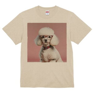 TVc Y LbY t@  t  vg JWA 킢 lԗp tBbglX _X Kl v[h sN̔wi Ԃ