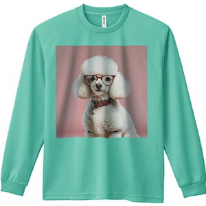 TVc lԗp Y Ht vg W[ AEghA JWA 킢 t@ Kl v[h sN̔wi Ԃ