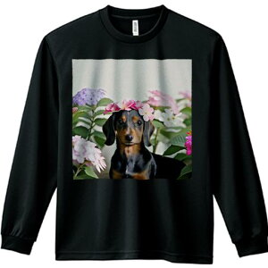 TVc lԗp Y Ht vg W[ AEghA JWA 킢 t@ AWTC _bNXtg  A