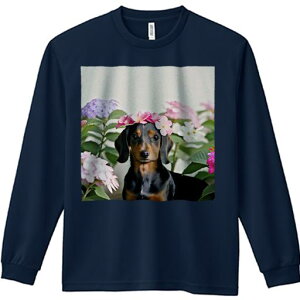 TVc lԗp Y Ht vg W[ AEghA JWA 킢 t@ AWTC _bNXtg  A