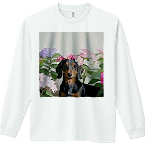 TVc lԗp Y Ht vg W[ AEghA JWA 킢 t@ AWTC _bNXtg  A