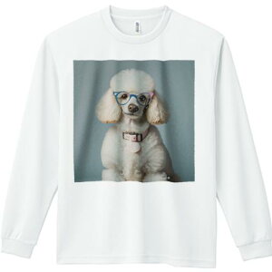 TVc lԗp Y Ht vg W[ AEghA JWA 킢 t@ Kl v[h J[ wi