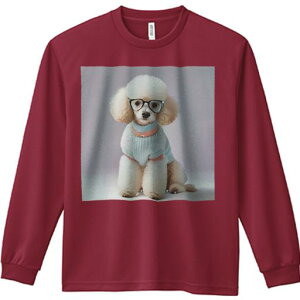 TVc lԗp Y Ht vg W[ AEghA JWA 킢 t@ Kl v[h Z[^[