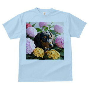 TVc Y LbY t@  t  vg JWA 킢 lԗp tBbglX _X AWTC _bNXth  